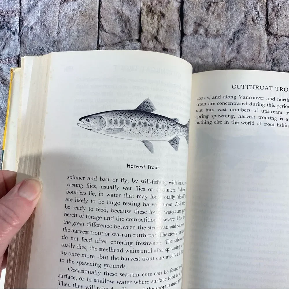 Outdoor Life sportsman guide